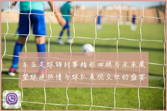 东亚足球锦标赛精彩回顾与未来展望球迷热情与球队表现交织的盛宴